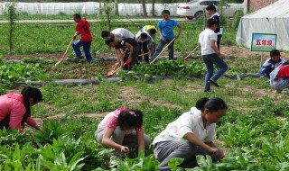 学校农场建设注意事项 学校开设农场的意义