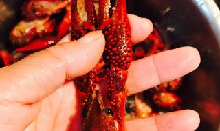 麻辣小龙虾的做法和吃法大全 麻辣小龙虾的做法和吃法