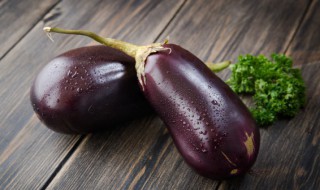 茄子和紫菜能一起吃吗 茄子和紫菜能一起吃吗早餐
