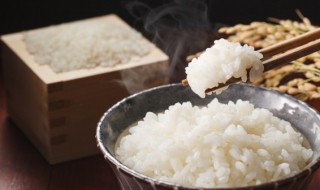 生水煮米饭会危害健康吗 用生水煮饭对身体不好吗