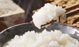 电锅蒸米饭的方法是什么（电锅蒸米饭的方法是什么呢）