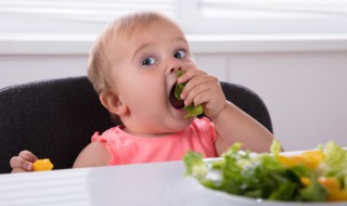 婴儿辅食做法 十个月婴儿辅食做法