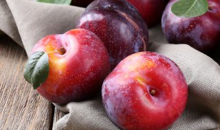 加应子是什么水果（加应子是什么水果高血压的人可以吃加因子吗）