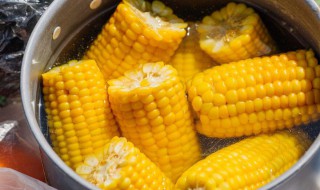 怎么判断玉米煮熟了 冷水下锅的玉米煮多久