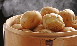 煮熟的土豆怎么做好吃又简单 ?煮熟的土豆怎么做好吃