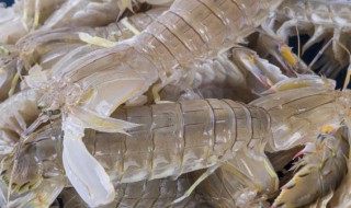 皮皮虾干怎么做好吃 皮皮虾干怎么做好吃又简单视频