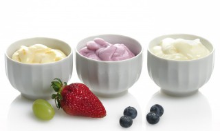 自己做酸奶买哪个菌比较好 自己做的酸奶和买的酸奶有什么区别