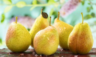 梨子是什么季节的水果 秋天成熟的水果有哪些