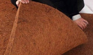 椰棕床垫好还是乳胶床垫好 全棕床垫的优缺点