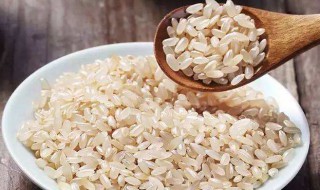 糙米祛湿吗 糙米除湿吗
