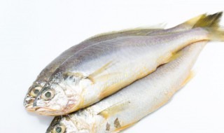 菜市场常见的鱼类 菜市场常见的鱼