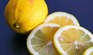 柠檬益菌多好喝吗 柠檬益菌多的做法