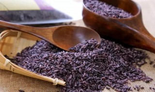 紫米热量高吗 减肥可以吃吗 紫米热量高吗