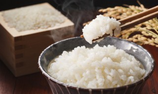 自热米饭是真的米吗 自热米饭吃了对身体有害吗