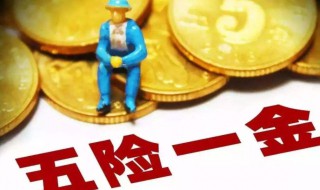 五险是哪五险一金是哪一金 五险是哪五险保险一金是什么