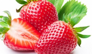 草莓的寓意是啥 草莓的寓意是什么意思