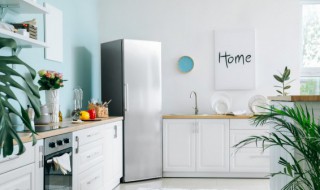 单门冰箱的尺寸规格有哪些 单门冰箱的尺寸规格有哪些呢