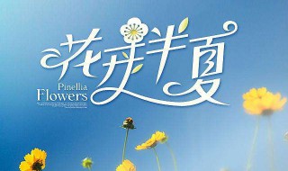 花开半夏大结局 花开半夏大结局剧情介绍