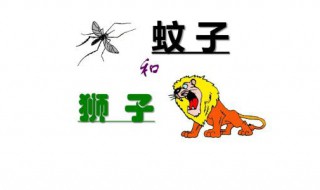蚊子和狮子的寓意 蚊子和狮子的寓意四字成语