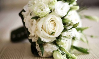 白玫瑰的花语 白玫瑰的花语是什么意思 寓意