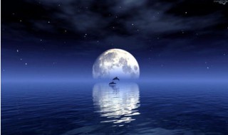 关于月亮的诗词 关于月亮的诗词句子