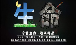 禁毒名句 破云禁毒名句