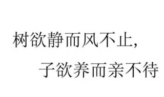 树欲静而风不止下句 树欲静而风不止下句是什么什么意思