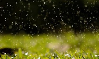 关于雨的俗语有哪些 关于雨的俗语