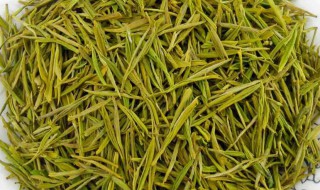 黄芽茶的功效与作用禁忌和副作用 黄芽茶的功效与作用禁忌