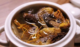 羊肚菌煲汤可以搭配什么菜 羊肚菌煲汤可以搭配什么