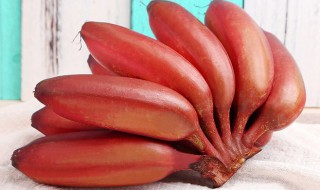 红香蕉的功效与作用及食用方法 红香蕉有什么功效