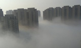 雾和雾霾有什么区别 雾和雾霾有什么区别图片