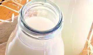 喝驼奶的功效与作用 喝驼奶的功效与作用有哪些