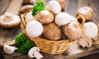 鲜蘑怎么做更好吃 鲜蘑怎样做好吃