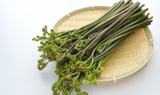 蕨菜怎么做好吃 蕨菜怎样做好吃