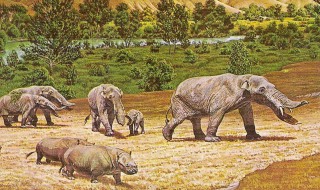 亚洲象迁徙的原因 亚洲象的迁移之路还有多远