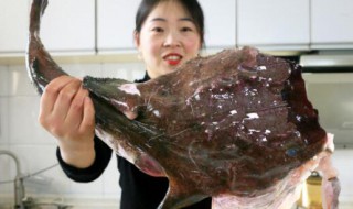 安康鱼的皮能吃吗 安康鱼的皮能吃吗怎么吃