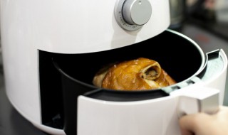 空气炸锅烤鸡胸的家常做法 空气炸锅烤鸡胸的做法窍门