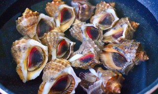 水煮海螺的家常做法（水煮海螺怎么做好吃）