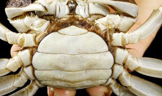 螃蟹的烹饪方法 螃蟹的烹饪方法图片