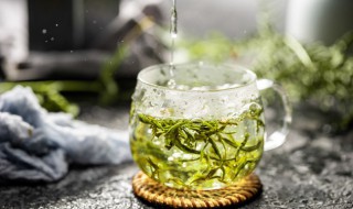 孕妇能喝绿茶吗 孕妇能喝绿茶吗孕晚期