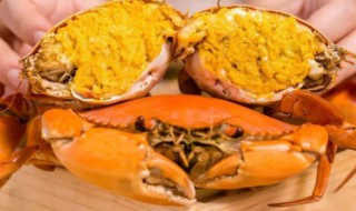 黄油蟹是什么时候有的 黄油蟹什么时候上市