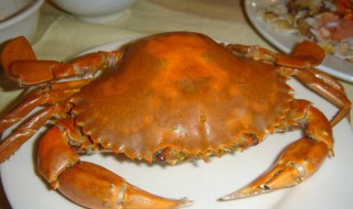 黄油蟹如何吃 黄油蟹怎么样做好吃