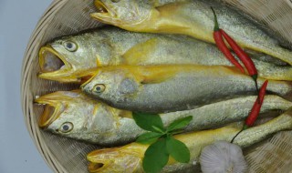 黄花鱼怎么做 黄花鱼怎么做好吃家常做法