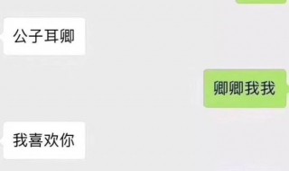 公子耳卿是成语吗 公子耳卿是成语吗