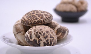 大花菇怎么保存 大花菇怎么储存