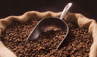 怎么储存咖啡豆 咖啡豆的储存方法有几种
