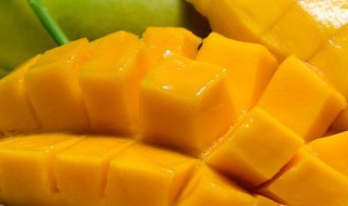 怎样做简单的芒果甜品 怎么做芒果甜品
