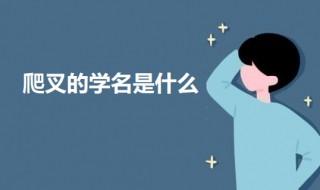 爬叉的学名是什么 爬叉叫什么名字