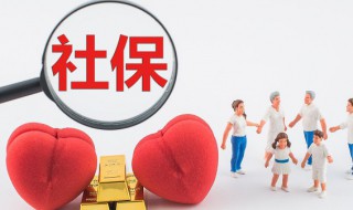 社保交了几年怎么查询 社保交了几年怎么查询手机可以查询